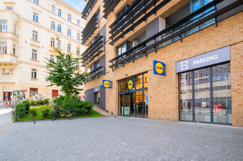 Prodej bytu 2+kk v osobním vlastnictví 39 m², Praha 3 - Žižkov