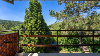 Prodej chaty / chalupy 41 m², Ochoz u Brna