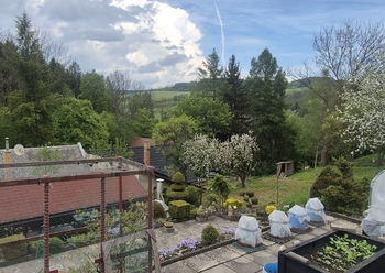 Prodej chaty / chalupy 100 m², Březová nad Svitavou
