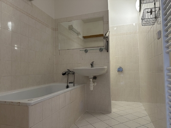Pronájem bytu 2+kk v osobním vlastnictví 44 m², Vestec
