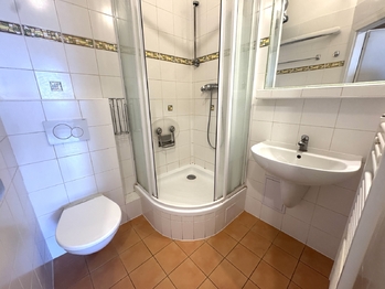 Pronájem bytu 1+kk v osobním vlastnictví 25 m², Praha 1 - Staré Město