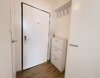 Pronájem bytu 1+1 v osobním vlastnictví 40 m², Písek