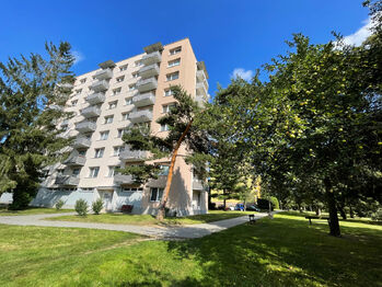Pronájem bytu 1+1 v osobním vlastnictví 40 m², Písek