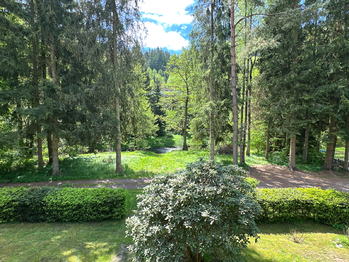 Prodej chaty / chalupy 85 m², Planá
