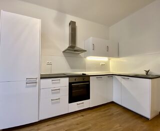Pronájem bytu 1+1 v osobním vlastnictví 40 m², Praha 6 - Břevnov