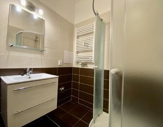 Pronájem bytu 1+1 v osobním vlastnictví 40 m², Praha 6 - Břevnov