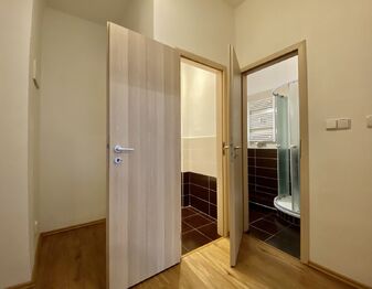 Pronájem bytu 1+1 v osobním vlastnictví 40 m², Praha 6 - Břevnov