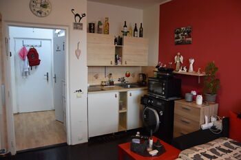 Pronájem bytu 1+kk v osobním vlastnictví 24 m², Brno