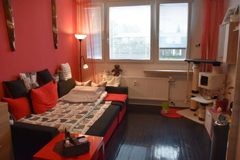 Pronájem bytu 1+kk v osobním vlastnictví 24 m², Brno