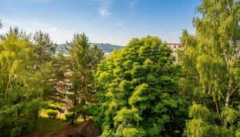Pronájem bytu 3+1 v osobním vlastnictví 75 m², Děčín