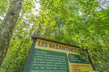 Bažantnice - Prodej bytu 3+1 v osobním vlastnictví 70 m², Kladno