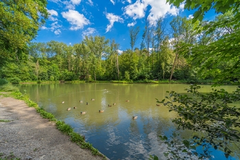 Lesopark Bažantnice - Prodej bytu 3+1 v osobním vlastnictví 70 m², Kladno