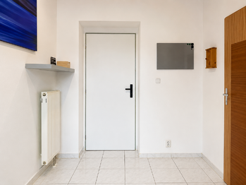 Pronájem bytu 1+kk v osobním vlastnictví 46 m², Plzeň
