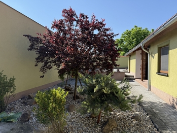 Prodej domu 104 m², Cvrčovice
