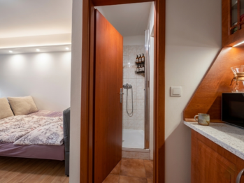 Prodej bytu 1+kk v osobním vlastnictví 22 m², Praha 9 - Letňany