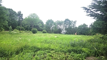 Prodej pozemku 6269 m², Milevsko