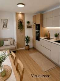 vizualizace, po možné rekontrukci - Prodej domu 175 m², Drysice