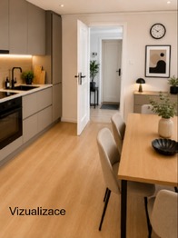 vizualizace, po možné rekontrukci - Prodej domu 175 m², Drysice