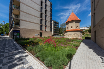 Pronájem bytu 2+kk v osobním vlastnictví 60 m², Praha 6 - Břevnov