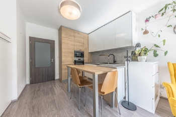 Prodej bytu 1+kk v osobním vlastnictví 31 m², Praha 9 - Hloubětín