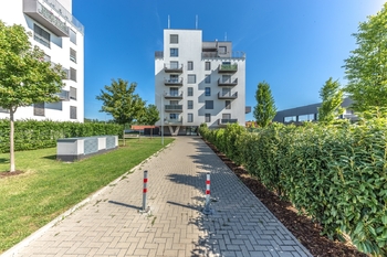 Prodej bytu 1+kk v osobním vlastnictví 31 m², Praha 9 - Hloubětín