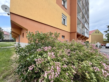 Prodej bytu 2+1 v osobním vlastnictví 56 m², Chomutov