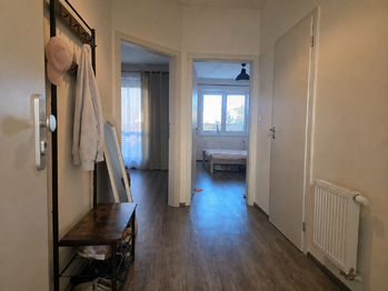 chodba-vchod - Pronájem bytu 2+kk v osobním vlastnictví 46 m², Šlapanice