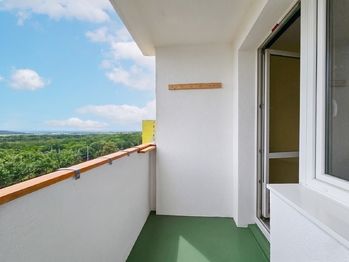Prodej bytu 3+1 v družstevním vlastnictví 77 m², Chomutov