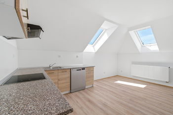Kuchyně byt č. 3, patro - Prodej domu 250 m², Kasejovice