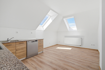 Kuchyně byt č. 3, patro - Prodej domu 250 m², Kasejovice