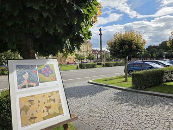 Pronájem bytu 1+1 v osobním vlastnictví 40 m², Opočno