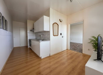 Vizualizace - Prodej bytu 1+1 v osobním vlastnictví 41 m², Žatec