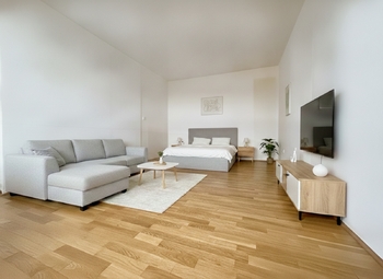 Vizualizace - Prodej bytu 1+1 v osobním vlastnictví 41 m², Žatec