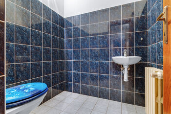Prodej domu 570 m², Zruč-Senec