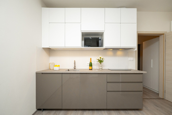Pronájem bytu 1+kk v osobním vlastnictví 30 m², Praha 4 - Hodkovičky