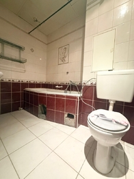 Pronájem bytu 2+1 v osobním vlastnictví 55 m², Bílina