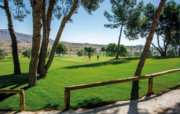 Prodej bytu 3+kk v osobním vlastnictví 80 m², Elx