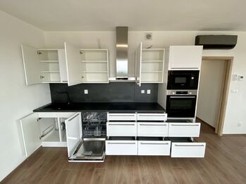Pronájem bytu 3+kk v osobním vlastnictví 95 m², Plzeň