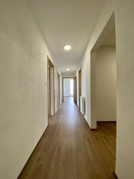 Pronájem bytu 3+kk v osobním vlastnictví 95 m², Plzeň