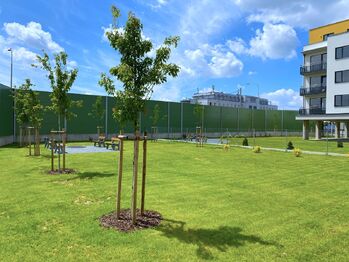 Pronájem bytu 3+kk v osobním vlastnictví 95 m², Plzeň
