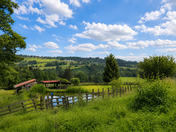 Prodej pozemku 1590 m², Ledeč nad Sázavou