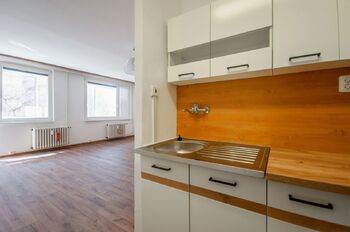 Pronájem bytu 1+kk v družstevním vlastnictví 30 m², Praha 3 - Žižkov