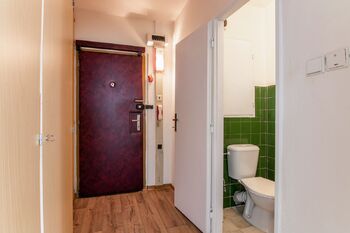 Pronájem bytu 1+kk v družstevním vlastnictví 30 m², Praha 3 - Žižkov