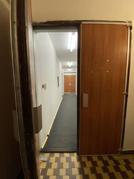 vstup do prostor, rovně dveře do skladu - Pronájem skladovacích prostor, Plzeň