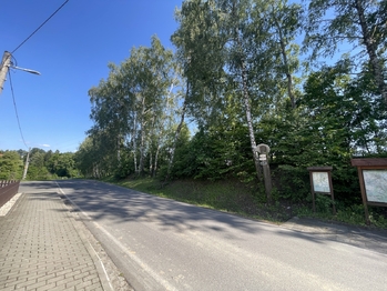 Prodej pozemku 5500 m², Horní Domaslavice
