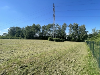 Prodej pozemku 5500 m², Horní Domaslavice