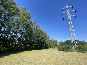 Prodej pozemku 5500 m², Horní Domaslavice