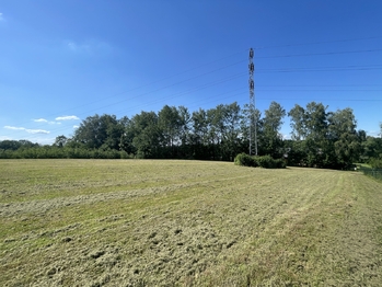 Prodej pozemku 5500 m², Horní Domaslavice
