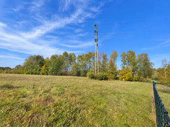 Prodej pozemku 5500 m², Horní Domaslavice