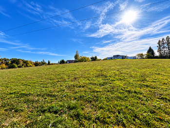 Prodej pozemku 5500 m², Horní Domaslavice